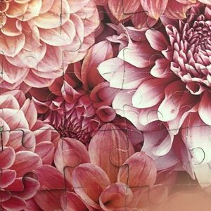 Meet your Posher, Katrina